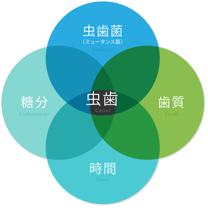 虫歯治療 根管治療 武蔵小金井駅徒歩5分 自由診療専門の歯医者 小金井歯科